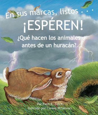 En sus marcas, listos... ¡ESPÉREN! ¿Qué hacen los animales antes de un huracán?