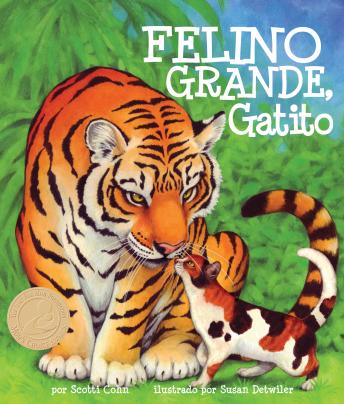 [Spanish] - Felino grande, gatito