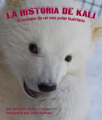 [Spanish] - La historia de Kali: El rescate de un oso polar huérfano