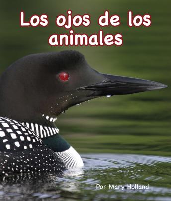[Spanish] - Los ojos de los animales