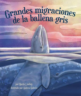 [Spanish] - Grandes migraciones de la ballena gris