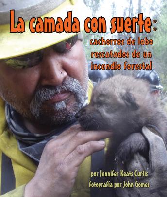 [Spanish] - La camada con suerte: cachorros de lobo rescatados de un incendio forestal