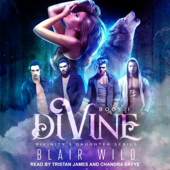 Download Divine by Blair Wild