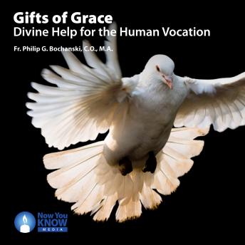 Gifts of Grace: Divine Help for the Human Vocation