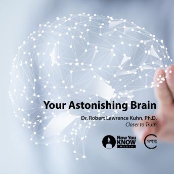 Your Astonishing Brain details