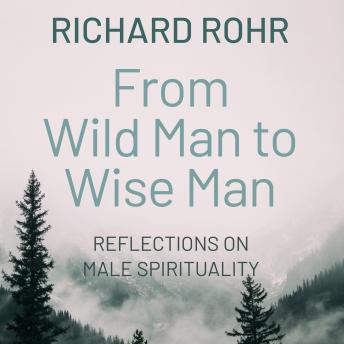 Download From Wild Man to Wise Man: Reflections on Male Spirituality by Richard Rohr