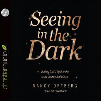 Seeing in the Dark: Finding God's Light in the Most Unexpected Places sample.