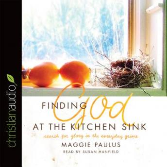 Finding God at the Kitchen Sink: Search for Glory in the Everyday Grime