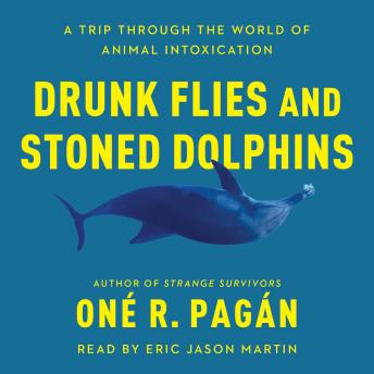 Drunk Flies and Stoned Dolphins: A Trip Through the World of Animal Intoxication