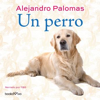 [Spanish] - Un perro (The Dog)