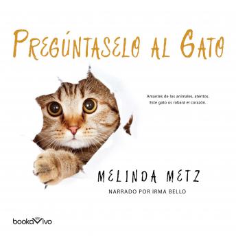 [Spanish] - Pregúntaselo al gato (Talk to the Paw)