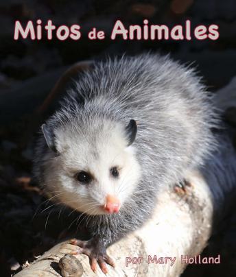 [Spanish] - Mitos de Animales