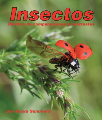 Insectos: Un libro de comparaciones y contrastes