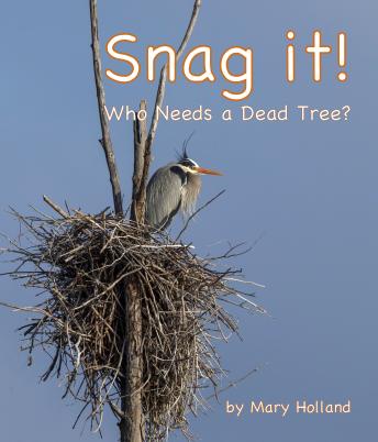 Snag It: Who Needs a Dead Tree?