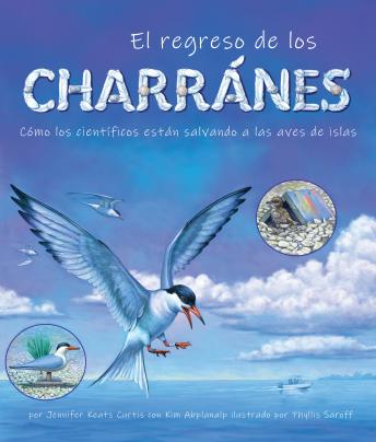 [Spanish] - El regreso de los charranes: Cómo los científicos están salvando a las aves de islas