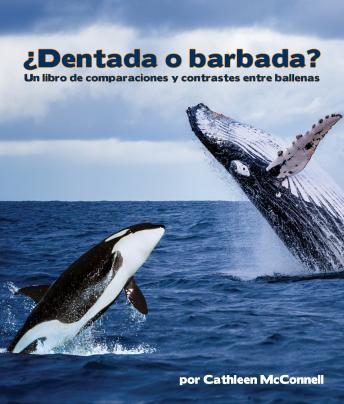 ¿Dentada o barbada? Un libro de comparaciones y contrastes entre ballenas