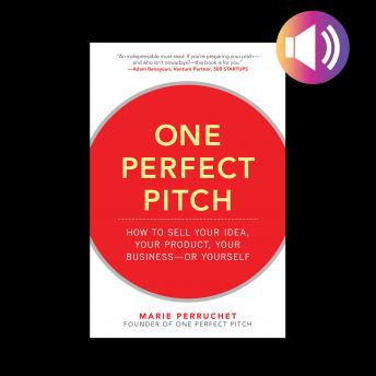 One Perfect Pitch: How to Sell Your Idea, Your Product, Your Business--or Yourself