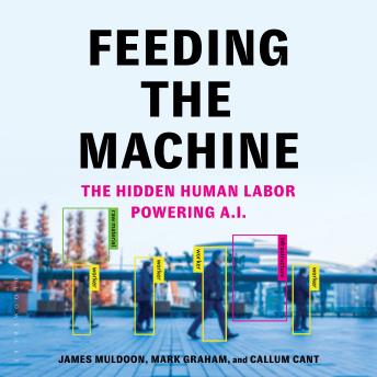 Feeding the Machine: The Hidden Human Labor Powering A.I.