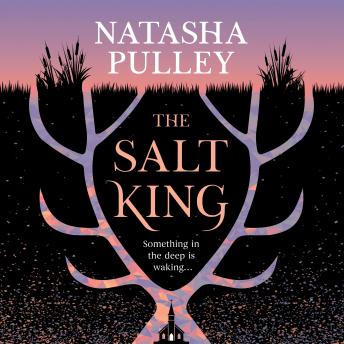The Salt King: A Novel