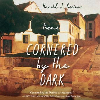 Cornered by the Dark: Poems