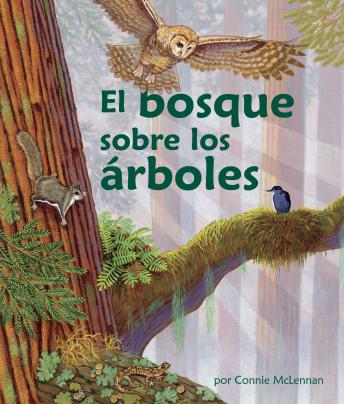 [Spanish] - El bosque sobre los árboles