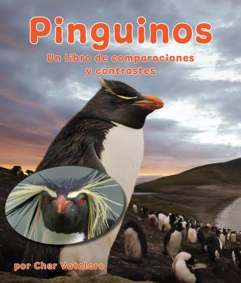 [Spanish] - Pingüinos: Un libro de comparaciones y contrastes