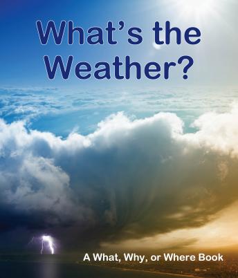 What's the Weather? A What, Why or Where Book