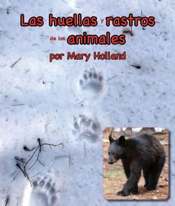 [Spanish] - Las huellas y rastros de los animales