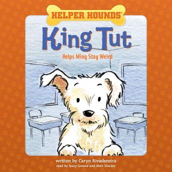 Helper Hounds: King Tut Helps Ming Stay Weird