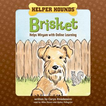 Helper Hounds Brisket: Helps Miryam with Online Learning