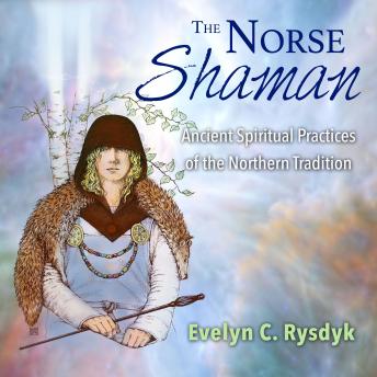 Norse Shaman: Ancient Spiritual Practices of the Northern Tradition sample.