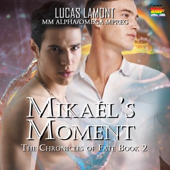 Mikaél's Moment: Type 6 (Part II)