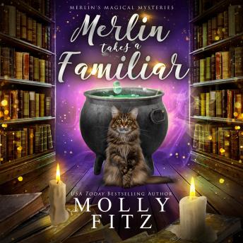 Merin the Magical Fluff: A Hilarious Mystery with a Witchy Cat and his Human Familiar