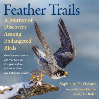 Download Feather Trails: A Journey of Discovery Among Endangered Birds by Sophie A. H. Osborn