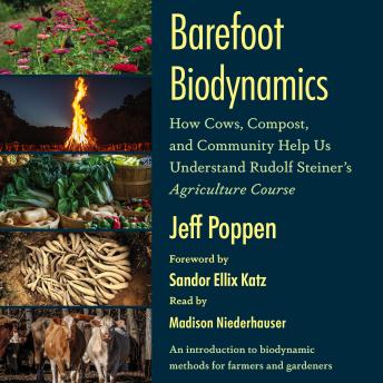 Download Barefoot Biodynamics: How Cows, Compost, and Community Help Us Understand Rudolf Steiner’s Agriculture Course by Jeff Poppen