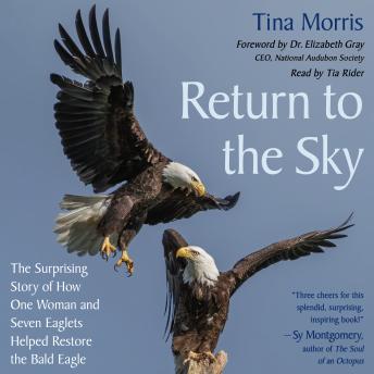 Return to the Sky: The Surprising Story of How One Woman and Seven Eaglets Helped Restore the Bald Eagle