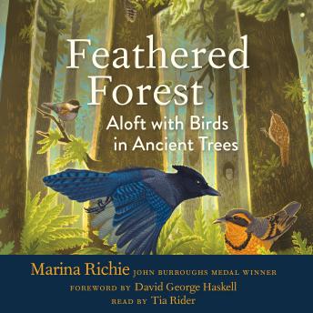 Feathered Forest: Aloft with Birds in Ancient Trees