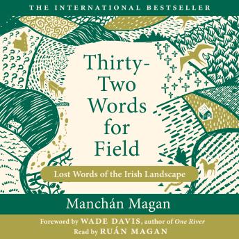 Thirty-Two Words for Field: Lost Words of the Irish Landscape