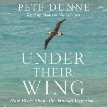 Under Their Wing: How Birds Shape the Human Experience