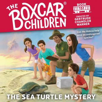 Listen The Sea Turtle Mystery By Gertrude Chandler Warner Audiobook audiobook