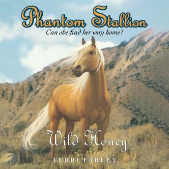 Phantom Stallion: Wild Honey
