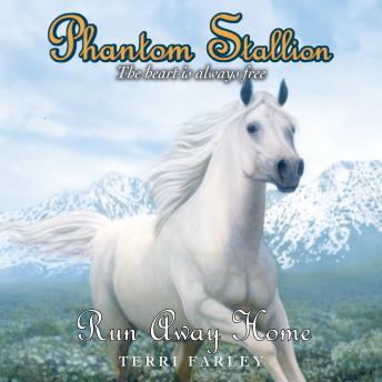 Phantom Stallion: Run Away Home