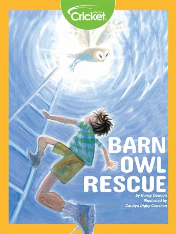 Barn Owl Rescue, Nancy Dawson