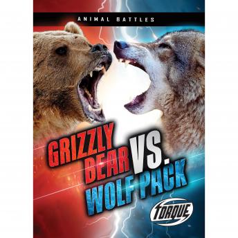 Grizzly Bear vs. Wolf Pack