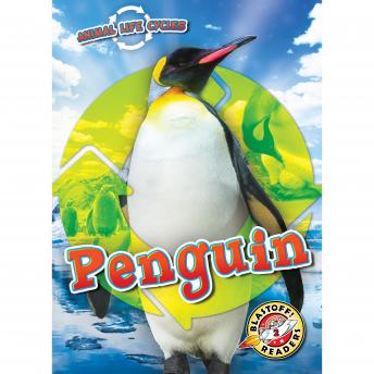 Animal Life Cycles: Penguin