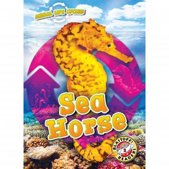 Animal Life Cycles: Sea Horse