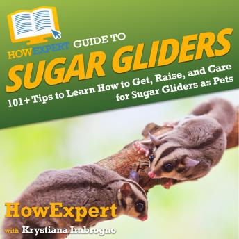 HowExpert Guide to Sugar Gliders: 101+ Tips to Learn How to Get, Raise, and Care for Sugar Gliders as Pets