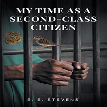 Download My Time as a Second Class Citizen by E. E. Stevens