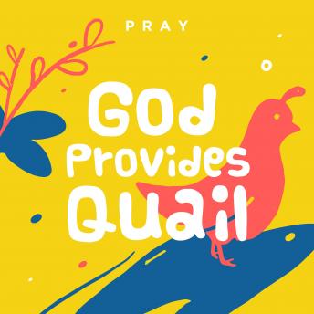 God Provides Quail: A Kids Bible Story by Pray.com