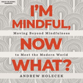 I'm Mindful, Now What?: Moving Beyond Mindfulness to Meet the Modern World